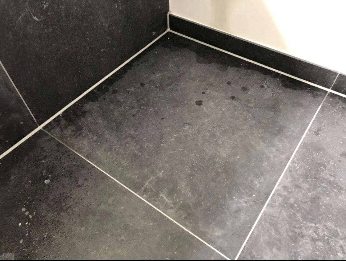 plinten kitten door kitking 1 door KitKing